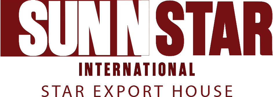 SunNstar International Logo